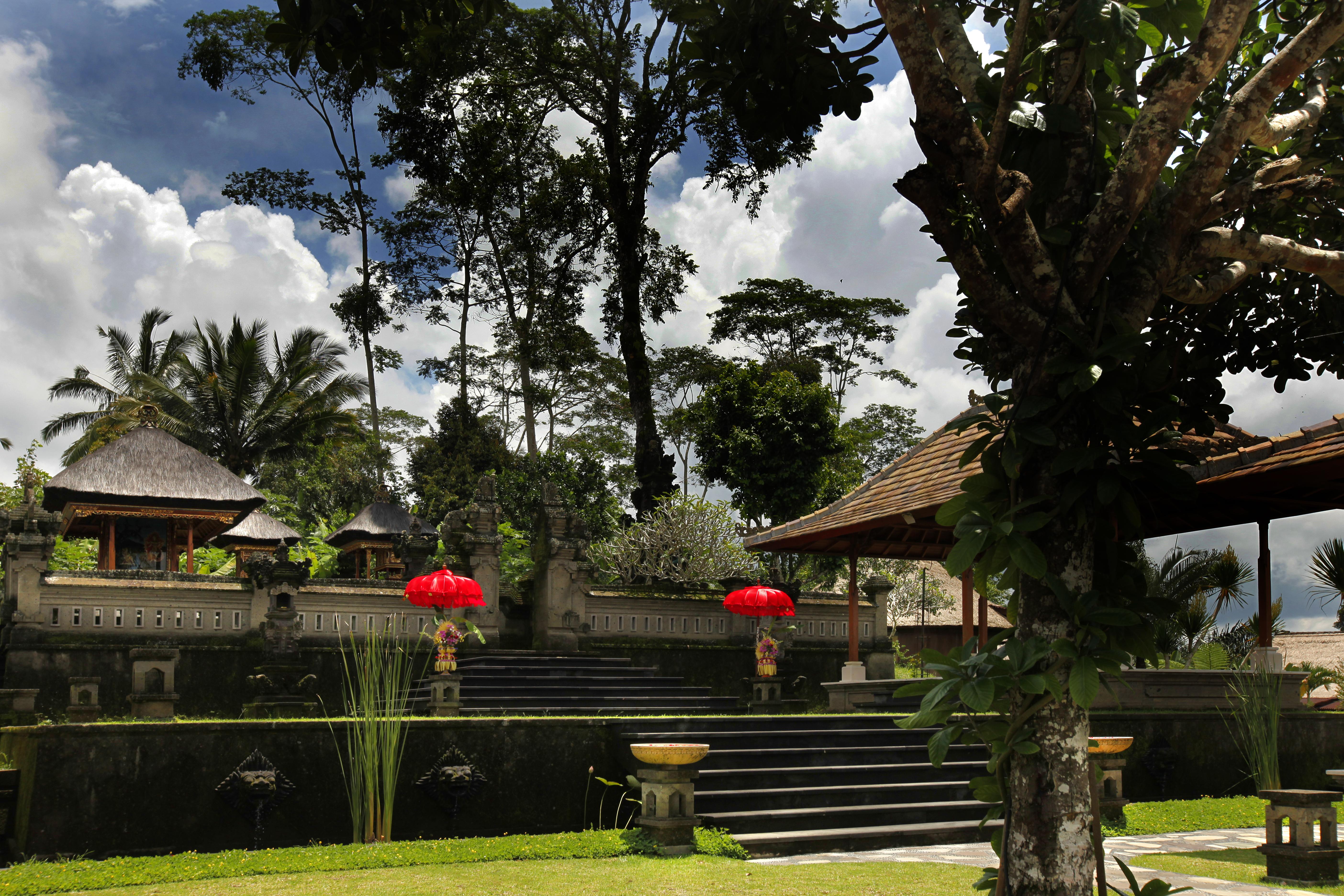 Bagus Jati Health & Wellbeing Retreat Hotel Tegallalang  Eksteriør billede